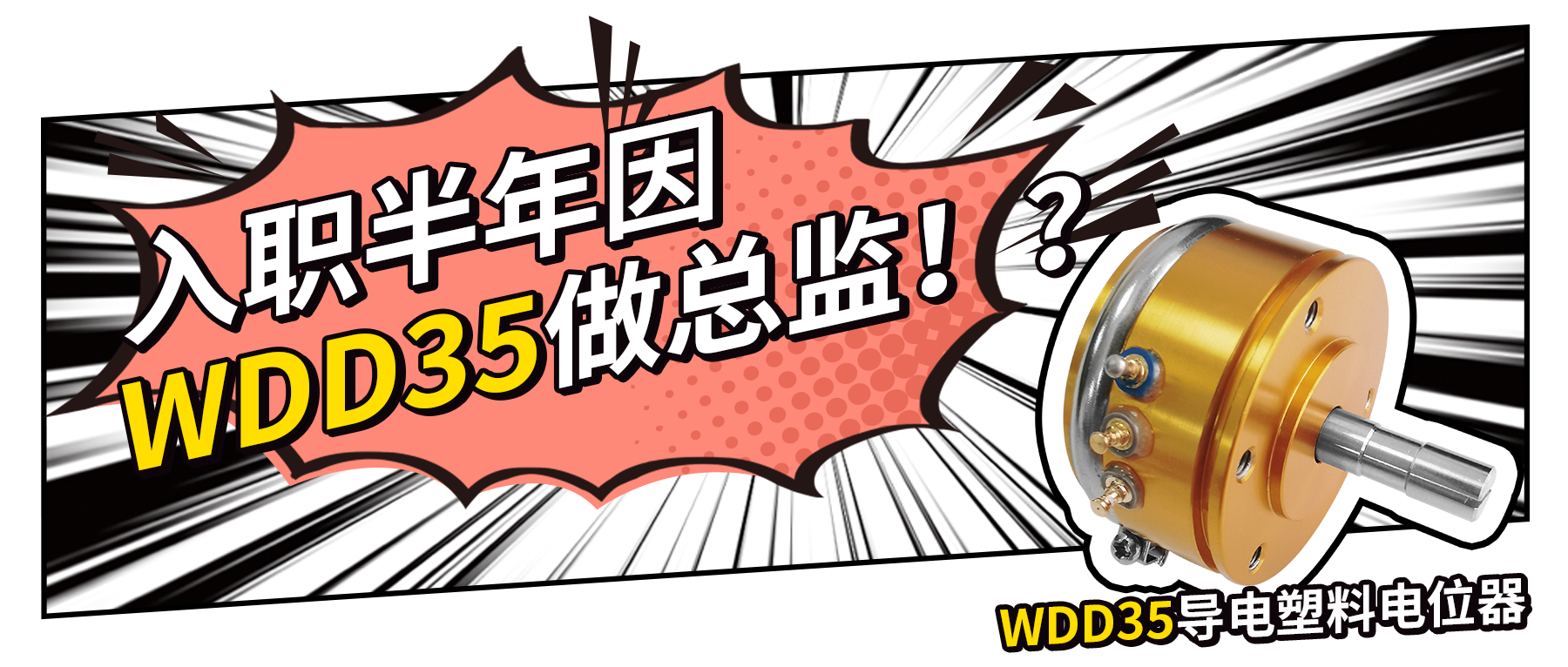 入職半年因WDD35做總監(jiān)？！